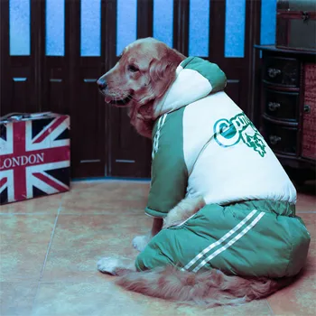 2022 Köpek ceket kış Golden Retriever Husky Labrador köpekler evcil giyim Serin mektup kapüşonlu ceket ropa para perro roupa cachorro