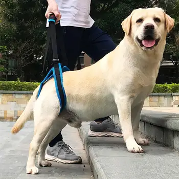 Pet Köpek Yardımcı koşum kemeri Yardımcı Kaldırma Desteği Rehabilitasyon Kemeri Yaşlı Hasta Köpek Köpek taşınabilir yardımcı kemer