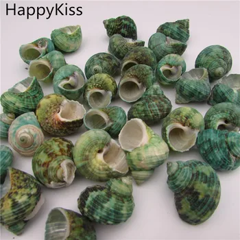 HappyKiss 5 adet / grup Deniz Kabuğu Malzeme Doğal Zanaat Deniz Kabuğu deniz kabukları kabuklu
